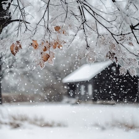 Obraz na płótnie canvas - Zima biała jak kiedyś ❄️