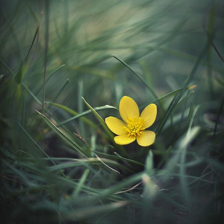 Obraz na płótnie canvas - Przebudzenie