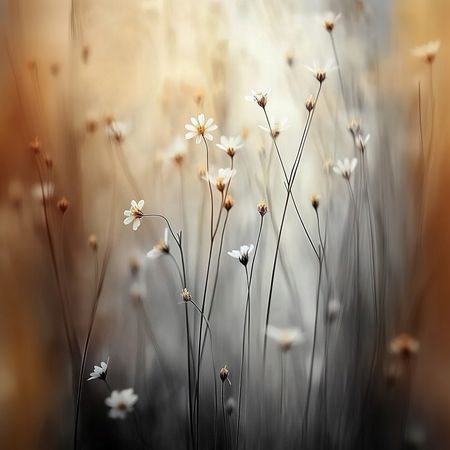 Obraz na płótnie canvas - Mglisty poranek