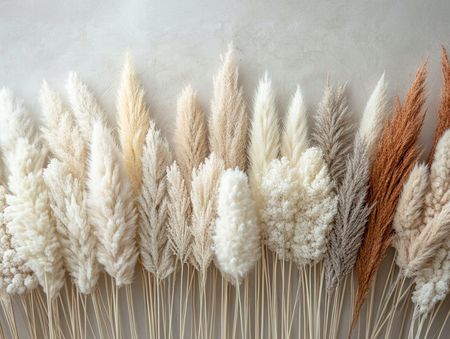 Obraz na płótnie canvas - Dekoracyjne trawy