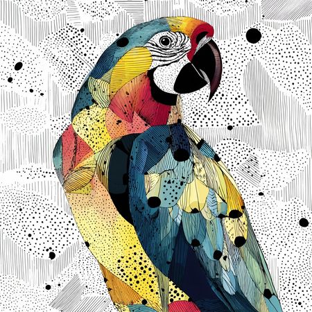 Obraz na płótnie canvas - Kolorowa papuga