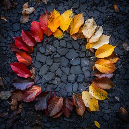 Obraz na płótnie canvas - Jesienny krąg